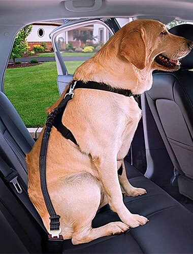  hundbilssele husdjursbil säkerhetsrep infällbar bil hundsäkerhetsrep reflekterande elastisk nylon