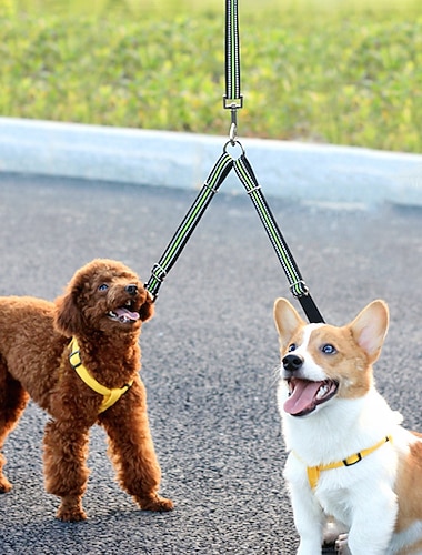  andar & treine seu pequeno & cães médios facilmente com esta coleira dupla reflexiva