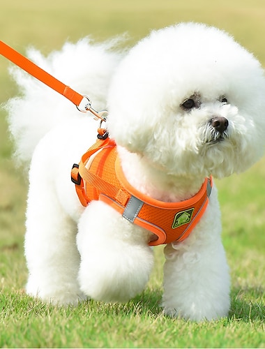  conjunto de arnés para mascotas estilo chaleco correa para perro reflectante transpirable correa para perro adecuada para pequeños & perros medianos