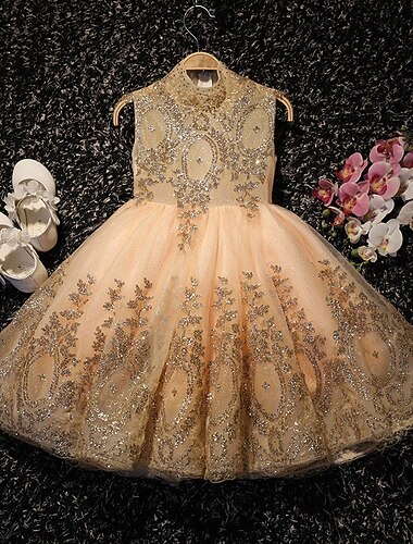 feestjurk voor kinderen meisjes effen kleur mouwloos prestatie mesh prinses zoet mesh halfhoge schede jurk tule jurk zomer lente herfst 2-12 jaar champagne   feestjurk voor kinderen meisjes effen kleur mouwloos prestatie mesh prinses zoet mesh halfhoge schede jurk tule jurk zomer lente herfst 2-12 jaar champagne