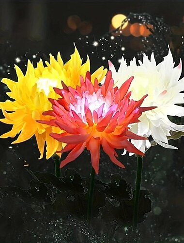  Luci Solari Da Giardino Per Esterni . Luci Solari Da Giardino Con Fiori Di Crisantemo Impermeabile Luci A LED Ad Energia Solare Da Giardino
