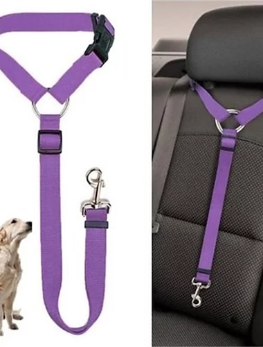  כלב חיות מחמד חגורת בטיחות לרכב חגורת בטיחות אחורית מתכווננת חגורת בטיחות בחבל כלב