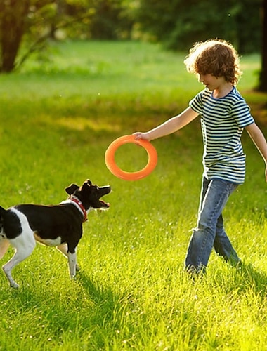  игрушки для собак для больших собак eva интерактивный съемник тренировочных колец устойчивый для собак летающие диски для домашних животных игрушка с кольцом для маленьких собак