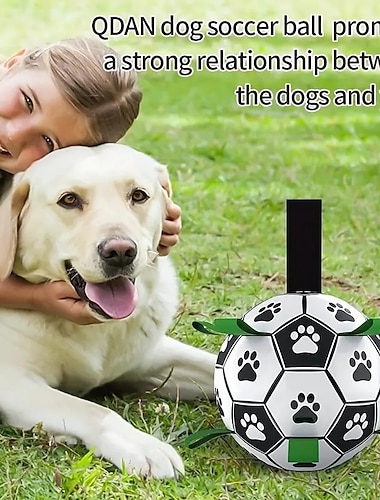  koiran lelut jalkapallo pallo koiran lelut köydenveto koiran vesilelu kestävä koiran pallot interaktiivinen koiran lelu