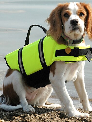  νέο σωσίβιο κατοικίδιο ζώο σωσίβιο κολύμβησης σκύλου σωσίβιο για κατοικίδιο ζώο σωσίβιο κολύμβησης