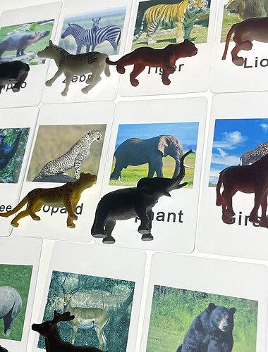  Montessori-Lehrmittel Tiermodell-Karte passende Alphabetisierungskarte Alphabetisierungskarte Englisch Sprachlehrmittel Spielzeug für die frühkindliche Bildung Zurück zur Schule Geschenk für