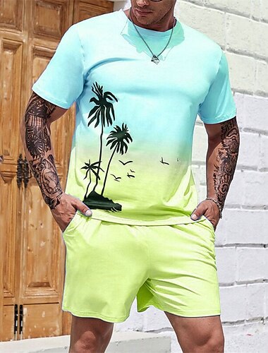  Herren Grafik Farbblock Kokospalme 2St T-Shirts-Sets Shorts und T-Shirt-Set T-Shirt-Outfits Strand-T-Shirt Kurzarm Rundhalsausschnitt Designer Lässig Bequem Outdoor Urlaub Täglich 3D-Druck 2 teilig
