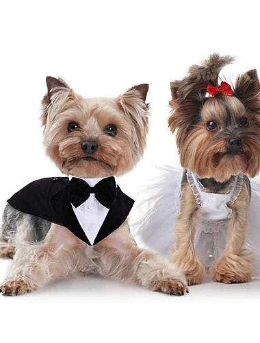  بدلة وشاح مثلث فستان زفاف هدية كلب كبير شخصية ربطة عنق وسيم