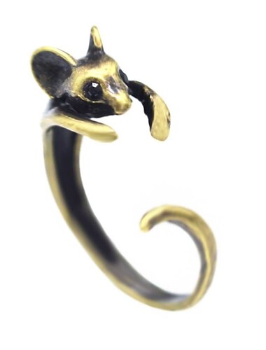  Dames Ringen Modieus Buiten dier Ring