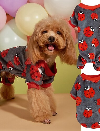  Cachorros Gatos Moletom Moda Legal Inverno Quente Respirável Macio Lavável Confortável Dia Das Bruxas Ao ar livre Casual / Diário Roupas para cães for Bichon Frise Pomerânia Animais de Pequeno Porte