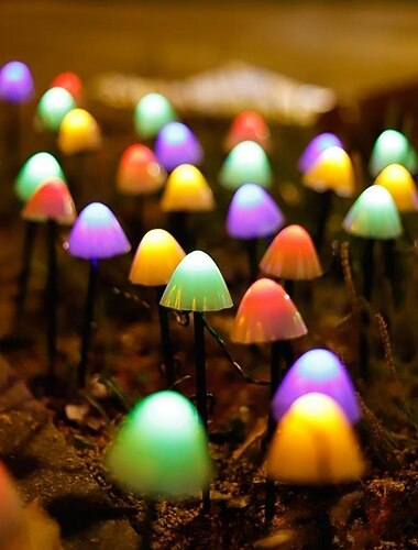  1 stuk 0.5 W Padverlichting en lantaarns Op Zonne-Energie Waterbestendig Warm wit Meerkleurig 3.7 V 6/8 LED-kralen