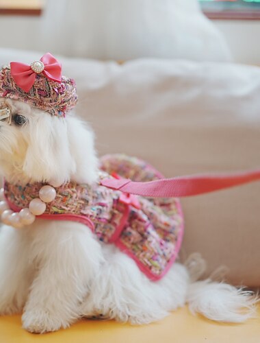  Hund Katt Selar Koppel Mode söt stil Andningsfunktion Mjuk Tvättbar Bekväm Utomhus Ledigt / vardag Hundkläder for Bichon Frisé Pommeran valpen eller det lilla husdjuret Fjäril Small