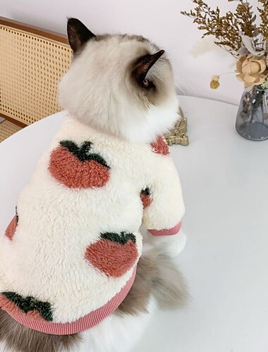 Honden Katten Truien Trui Modieus leuke Style Winter Ademend Zacht Wasbaar Comfortabel Buiten Casual / Dagelijks Hondenkleding for Bichon Frise pomeranian kleine huisdieren Vlinder Small