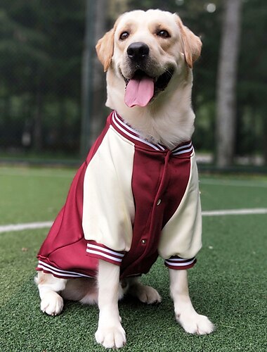  Hund Katze Mäntel Jacke Sport Mode Winter Atmungsaktiv Weich Waschbar Bequem Outdoor Alltagstauglich Hundebekleidung for Bichon Frise Zwergspitz Baby Haustier Papillon Klein