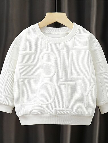  kinderkleidung Jungen Pullover Buchstabe Langarm Rundhalsausschnitt Herbst Winter Sport Modisch Täglich Polyester Outdoor Casual