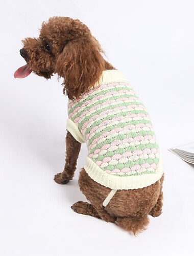  Chien Chat Pull Mode Mignon Hiver Respirant Doux Lavable Confortable Extérieur Décontracté Quotidien Vêtements pour Chiens for Bichon Frisé Spitz Nain Bébé Animal Papillon Petit