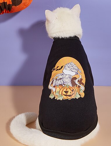  Cachorros Gatos Moletom Moda Estilo bonito Inverno Respirável Macio Lavável Confortável Ao ar livre dia das Bruxas Casual / Diário Roupas para cães for Bichon Frise Pomerânia Animais de Pequeno Porte