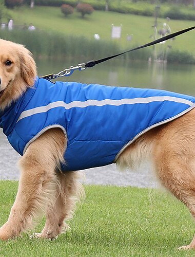  Prodotti per cani Prodotti per gatti Cappottini Di tendenza stile sveglio Traspirante Esterno Casual / quotidiano  Abiti per cuccioli di cane