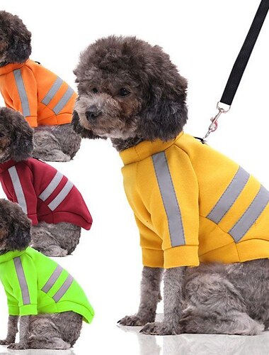  Cachorros Gatos Moletom Moda Com Iluminação Inverno Respirável Macio Lavável Confortável Ao ar livre Casual / Diário Roupas para cães for Bichon Frise Pomerânia Animais de Pequeno Porte Borboleta
