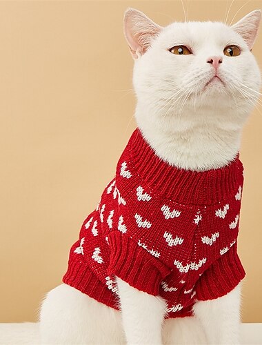  Hund Katze Pullover Jumper Mode Niedlich Winter Atmungsaktiv Weich Waschbar Bequem Outdoor Alltagstauglich Hundebekleidung for Bichon Frise Zwergspitz Baby Haustier Papillon Klein