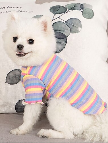  Hund Katze Pullover Jumper Mode Niedlich Wasserdicht Atmungsaktiv Weich Waschbar Bequem Outdoor Alltagstauglich Hundebekleidung for Bichon Frise Zwergspitz Baby Haustier Papillon Klein