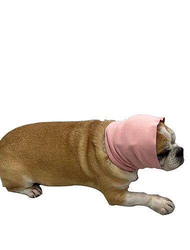  Hunde Katzen Bandanas & Hüte Modisch Kuschelig Winter Atmungsaktiv Weich Waschbar Komfortabel Outdoor Casual Hundebekleidung for Bichon Frise Spitz kleines Haustier Schmetterling Small