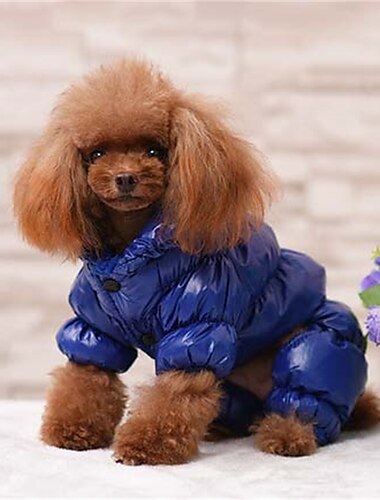  Hund Katze Mäntel Jacke Mode Niedlich Winter Atmungsaktiv Weich Waschbar Bequem Outdoor Alltagstauglich Hundebekleidung for Bichon Frise Chihuahua Zwergspitz Baby Haustier Papillon