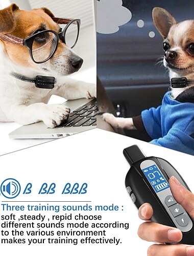  Hundetraining Schockhalsband für Hunde mit Fernbedienung Ferngesteuert Hund 2 Wiederaufladbares Hundehalsband Hunde Reflektierend Wasserdicht Trainer Anti Bark Wiederaufladbar ABS + PC