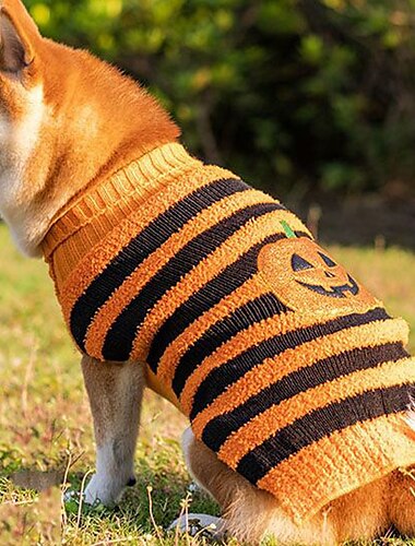  Chien Chat Pull Frais Drôle Hiver Chaud Respirant Doux Lavable Confortable Halloween Décontracté Quotidien Vêtements pour Chiens for Bichon Frisé Spitz Nain Bébé Animal Papillon Petit