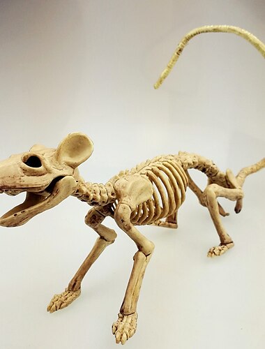  Skelettmodell, 3D-Tierskulptur aus Kunstharz, für Pose-Skelett-Requisite im Innen- und Außenbereich, Halloween-Dekoration