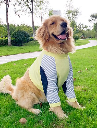  Hund Katze Hemd / T-Shirt Party Lustig Atmungsaktiv Weich Waschbar Bequem Alltagstauglich Hundebekleidung for Bichon Frise Zwergspitz Baby Haustier Papillon Klein