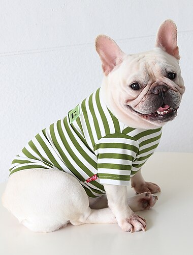  Hund Katze Hemd / T-Shirt Mode Lässig Winter Wasserdicht Atmungsaktiv Weich Waschbar Bequem Alltagstauglich Hundebekleidung for Bichon Frise Zwergspitz Baby Haustier Papillon Klein