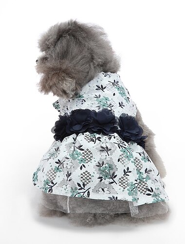  Hund Katze Kleid Niedlich Lässig Wasserdicht Atmungsaktiv Weich Waschbar Bequem Alltagstauglich Hundebekleidung for Bichon Frise Zwergspitz Baby Haustier Papillon Klein