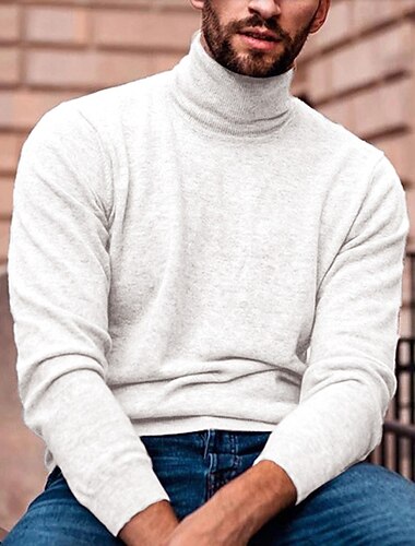  Herren Rollkragenpulli Pullover Rollkragenpullover für Herren Gerippt Stricken Standard gestrickt Glatt Rollkragen Moderne zeitgenössische Schmaler Schnitt Arbeit Freizeitskleidung Bekleidung Herbst