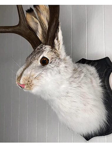  décoration murale de lapin jackalope la dernière légende des bois, support mural d'art en résine de faux lapin, ornement de spécimen de tête de simulation