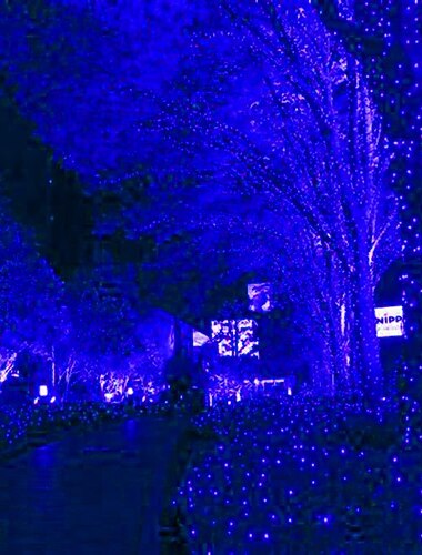  LED nettlys IP65 6Mx4M 3Mx2M fleksibel nettfe-lampe 880LED 200LED mesh lys til hagen fargerik dekorasjon EU US UK plugg AC110V 220V 230V Halloween