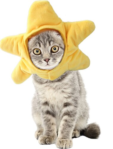 Hunde Katzen Hunde-Halstuch & Hunde-Hut Party Lustig Winter Atmungsaktiv Weich Waschbar Komfortabel Party Halloween Casual Festival Hundebekleidung for Bichon Frise Spitz kleines Haustier