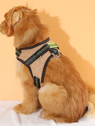  Prodotti per cani Prodotti per gatti Pettorine Regolabile Portatile Duraturo Esterno Marcia Color Block