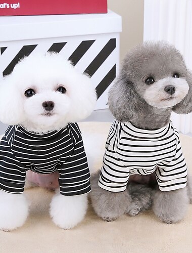  Psy Koty Bluza dresowa Śłodkie Codzienny Zima Oddychający Miękka Zmywalny Wygodny Na zewnątrz Codzienne Ubranka dla psów for Bichon frise Szpic miniaturowy szczeniaków i młodych kotów Motyl Small