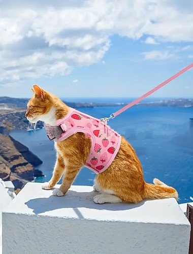  Chien Chat Harnais Mode Soirée Réfléchissant Respirable Lavable Confortable Noël Extérieur Casual Quotidien Marche Vêtements pour chiens for Bichon Frisé Loulou de Poméranie Bébé Animal Papillon Small