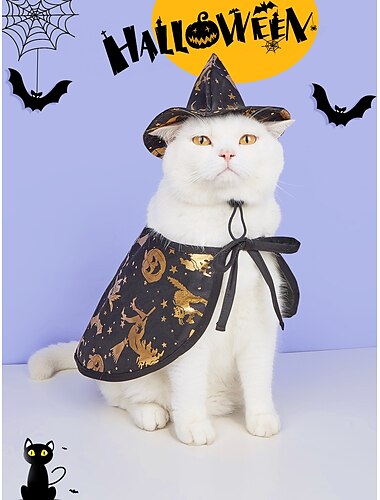  Hunde Katzen Weihnachtskostüm Hexe Cosplay Lustig Komfortabel Halloween Kleidungs-Outfits für Hundewelpen