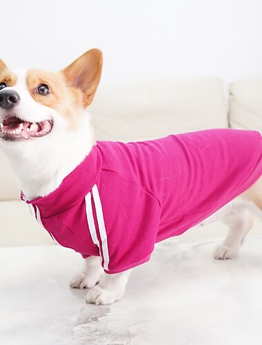  Psy Koty Bluza dresowa Moda Na co dzień / Sportowy Zima Oddychający Miękka Zmywalny Wygodny Na zewnątrz Codzienne Ubranka dla psów for Bichon frise Szpic miniaturowy szczeniaków i młodych kotów Motyl