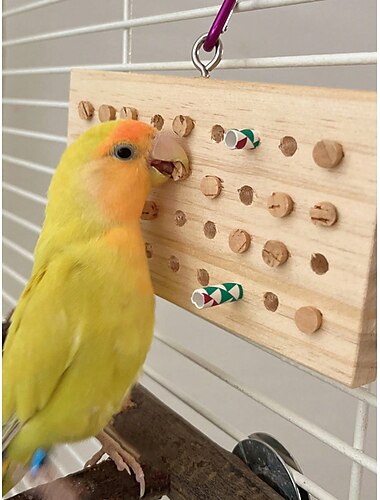  Jucărie interactivă Păsări 1 buc Durabil Exercițiu pentru animale de companie Jucarie de dinti Lemn Cadou Jucărie pentru animale de companie Jucării de Animale
