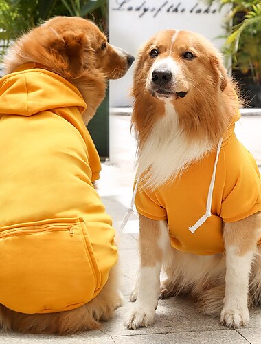  Hund Katze Kapuzensweatshirt Mode Lässig Winter Atmungsaktiv Weich Waschbar Bequem Outdoor Alltagstauglich Hundebekleidung for Bichon Frise Zwergspitz Baby Haustier Papillon Klein