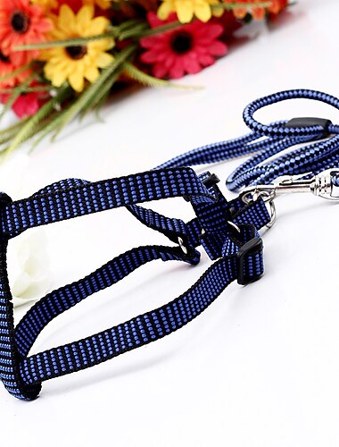  Prodotti per cani Prodotti per gatti Collari Guinzagli Regolabile Portatile Duraturo Esterno Marcia