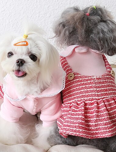  Hund Katze Kleid Mode Niedlich Winter Weich Waschbar Bequem Outdoor Alltagstauglich Hundebekleidung for Bichon Frise Pudel Zwergspitz Baby Haustier Papillon