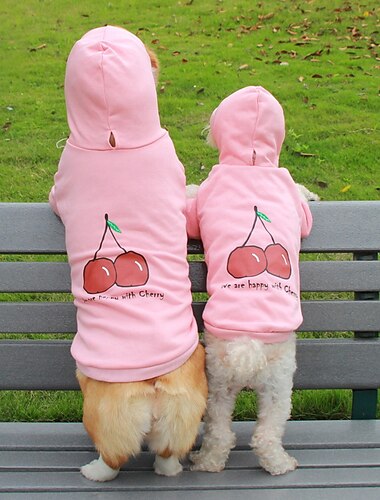  Perros Gatos Saco y Capucha Moda Estilo lindo Invierno Transpirable Suave Lavable Cómodo Exterior Casual Diario Ropa para perros for Bichón Frisé Pomerania Animal doméstico del bebé Mariposa Small