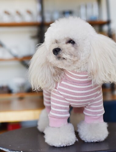  Honden Katten Jumpsuits Modieus leuke Style Winter Ademend Zacht Wasbaar Comfortabel Buiten Casual / Dagelijks Hondenkleding for Bichon Frise pomeranian kleine huisdieren Vlinder Small
