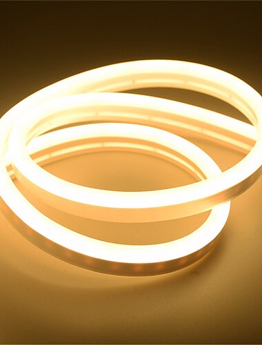  أضواء شريط نيونية LED 2م خارجية 12V مقاومة للماء للديكور في المنزل غرفة المعيشة المطبخ الحديقة والفناء