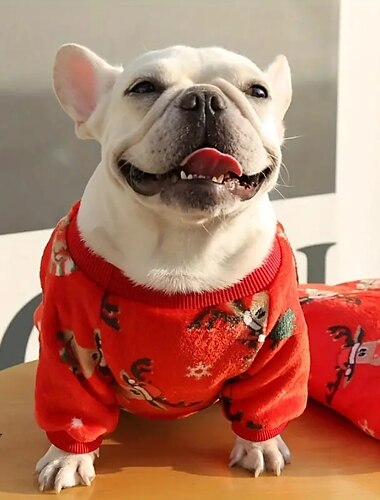  Honden Katten Pyjama Modieus Feest Winter Warm Ademend Zacht Wasbaar Comfortabel Kerstmis Kerstmis Buiten Casual / Dagelijks Hondenkleding for Bichon Frise pomeranian kleine huisdieren Vlinder Small